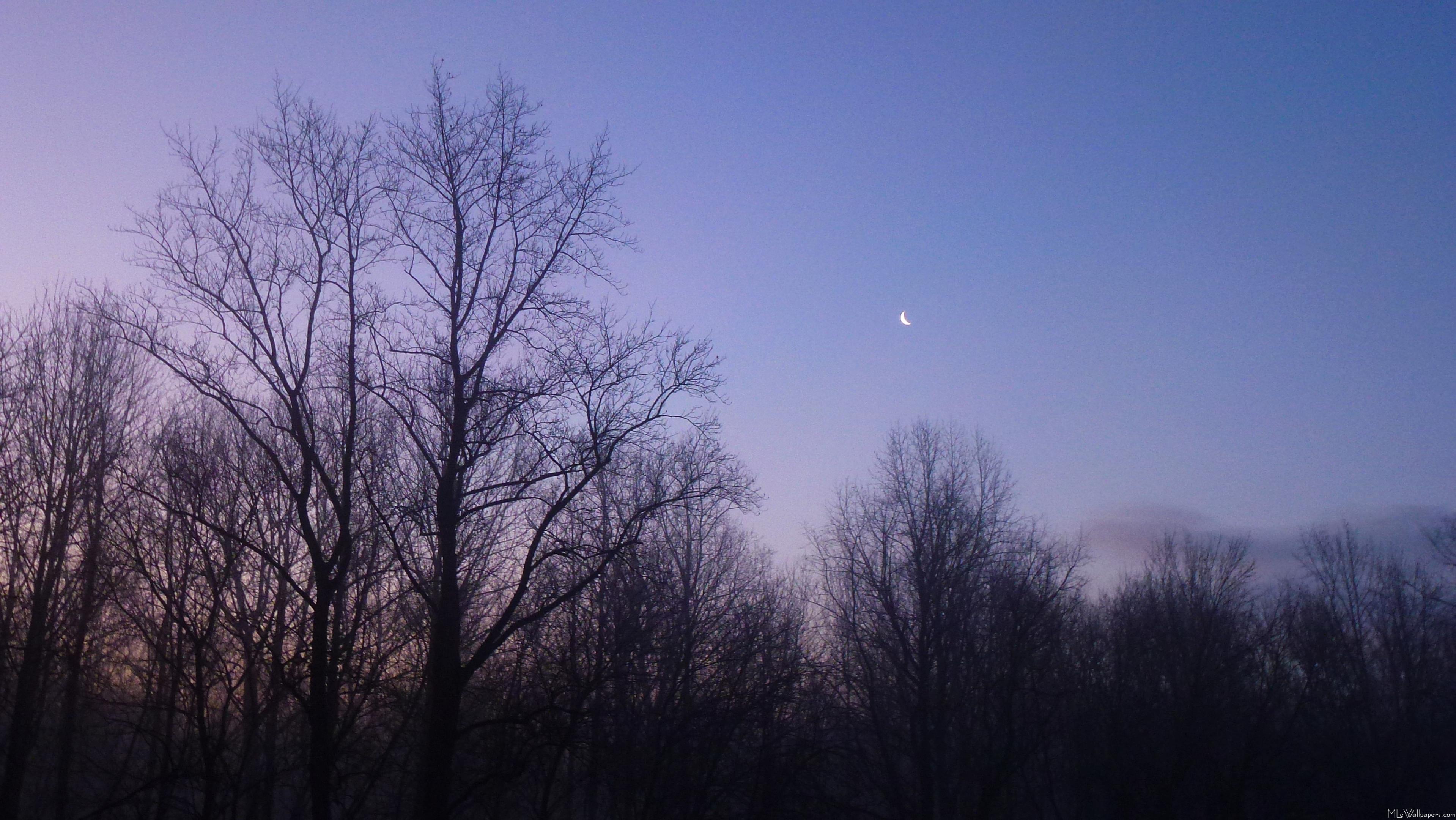  - Winter Moon