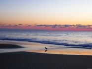 Bethany Beach Sunrise I