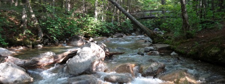 Pemigewasset River Bridge